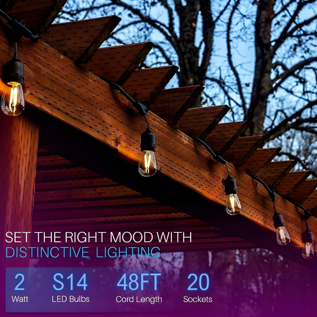 SL101 LED Low Voltage Bistro String Lights 48 FT Outdoor Weatherproof 12V Edison Bulbs with 100W DC Transformer and 55ft Hanging Kit Package Deal