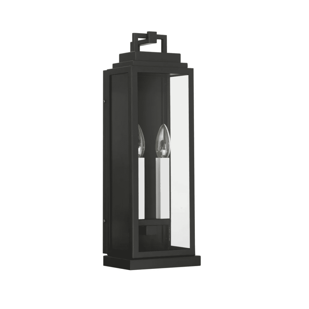 Aspen 2 Light Outdoor Sconce 6.5"x19" Stainless Steel and Clear Glass Matte Black Finish 120V 2 E12 Candelabra Base LED Bulb Sockets for Patio, Garden, Exterior Walls