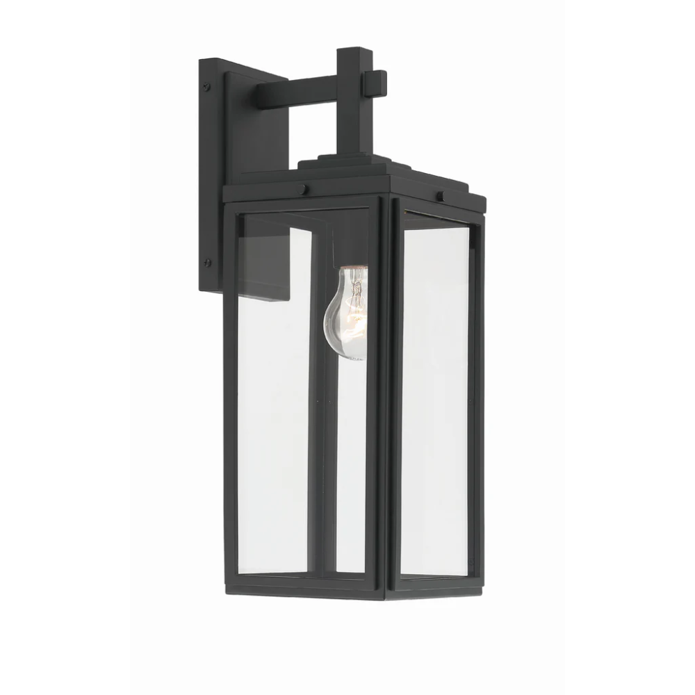 Byron 1 Light Outdoor Sconce 6.5"x17" Stainless Steel and Clear Glass Matte Black Finish 120V 1 E26 Medium Base LED Bulb Socket for Patio, Garden, Exterior Walls