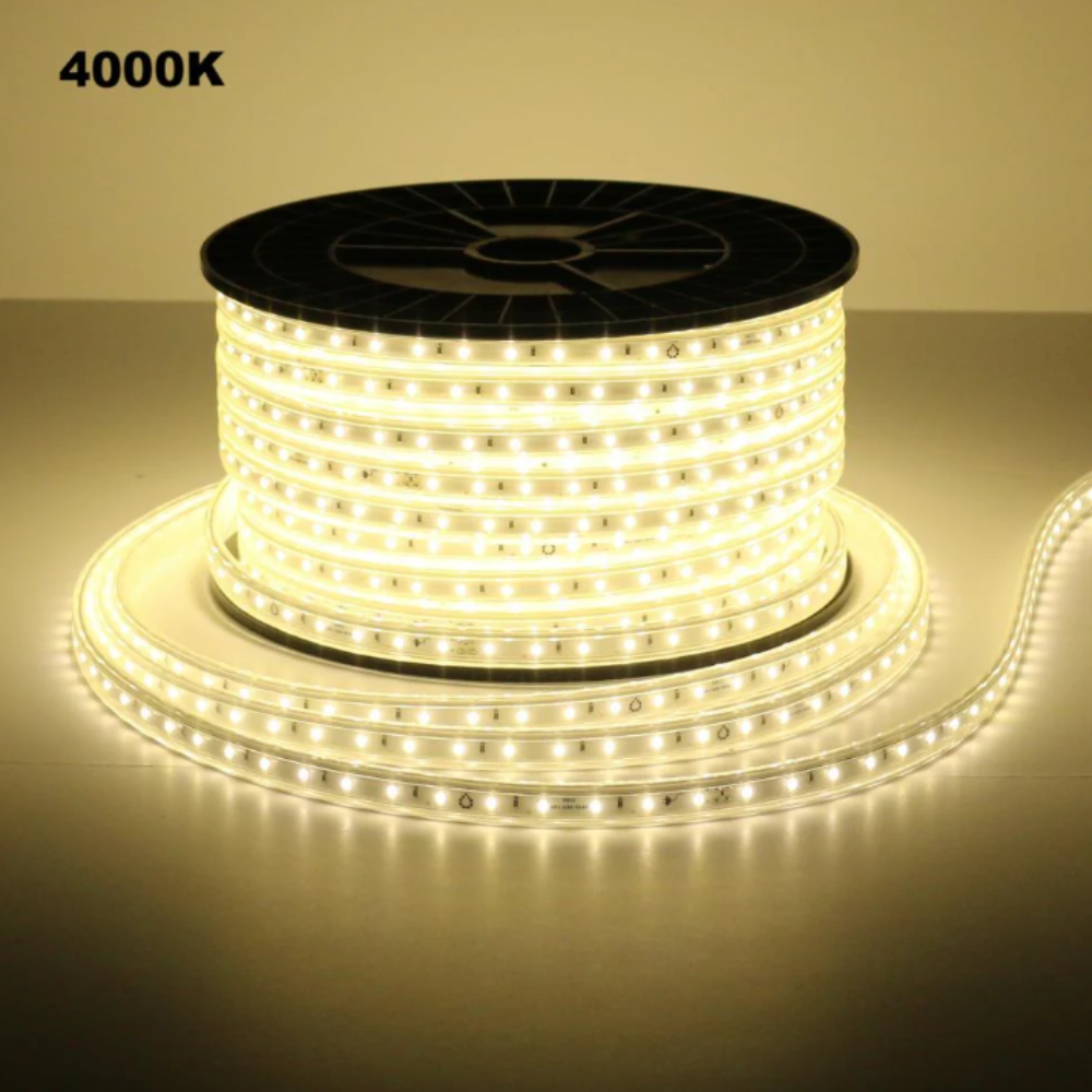 SL10 Dotted 110V 165ft Single-Color SMD283 LED Strip Lights High Voltage Tape Light IP65