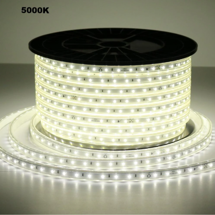 SL10 Dotted 110V 165ft Single-Color SMD283 LED Strip Lights High Voltage Tape Light IP65