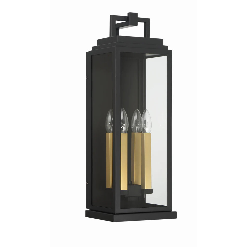 Aspen 4 Light Outdoor Sconce 7.75"x22.5" Stainless Steel and Clear Glass Matte Black Finish 120V 4 E12 Candelabra Base LED Bulb Sockets for Patio, Garden, Exterior Walls