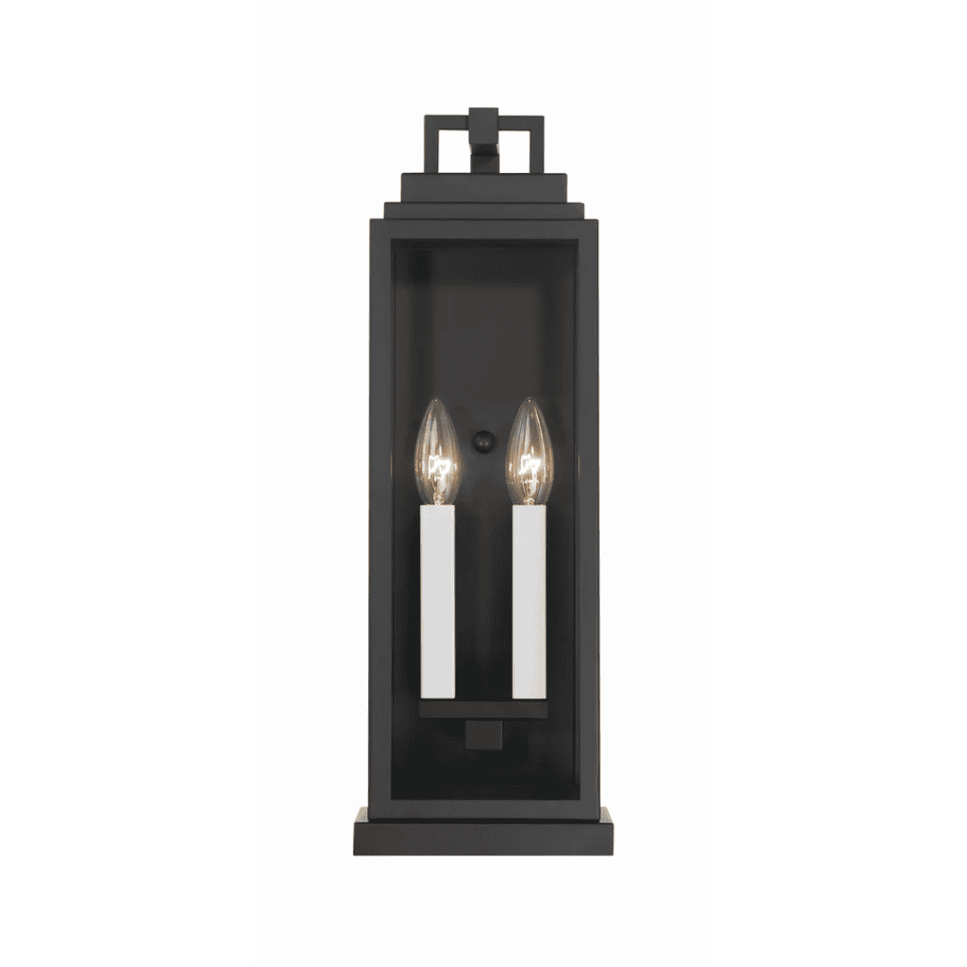 Aspen 2 Light Outdoor Sconce 6.5"x19" Stainless Steel and Clear Glass Matte Black Finish 120V 2 E12 Candelabra Base LED Bulb Sockets for Patio, Garden, Exterior Walls